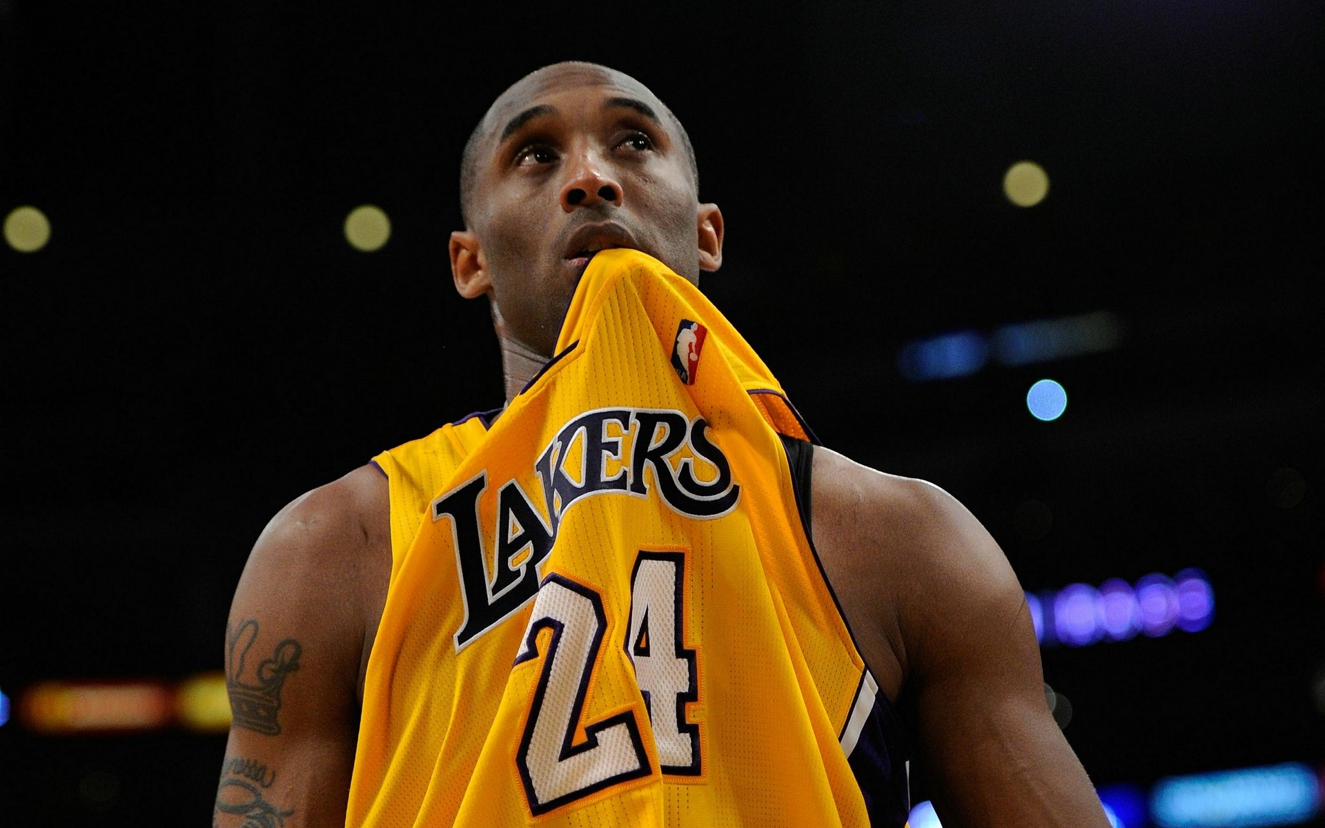 的国际化案 的国际化案