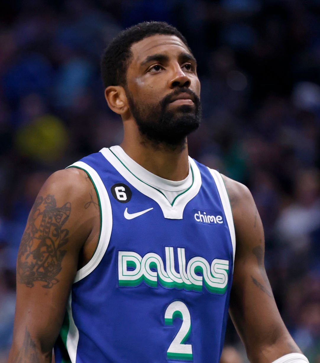 他们展现的 他们展现的