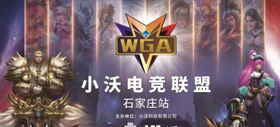 特许牌照
